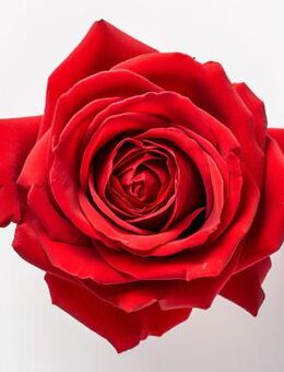 Suche eine Südländische Frau für ernsthafte Beziehung - Bremen