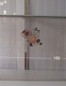 Bürstner Wohnwagenfenster ca 166 x 62,5 (Roxite 80 D401) gebrauch - Schotten Zentrum