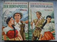 Ludwig Ganghofer Heimat-Romane Leinen Vintage 11 Bücher zusammen nur 3,- - Flensburg