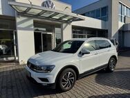 VW Tiguan, 2.0 TDI AD Join, Jahr 2018 - Pasewalk