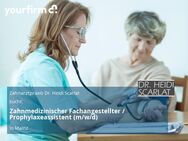 Zahnmedizinischer Fachangestellter / Prophylaxeassistent (m/w/d) - Mainz