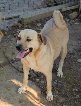 Prinzessin Luna - Tholey