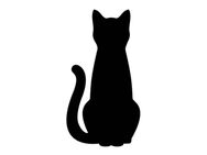Katzensitting - Mainz