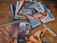 Playboy Zeitschriften erotik - Lingen (Ems)