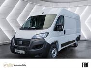 Fiat Ducato, L2H2 Kastenwagen Holzverkleidung, Jahr 2024 - Bietigheim-Bissingen