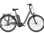 2 Kalkhoff E-Bikes (Boschmotor)gebraucht, neuwertig unter 1000km gefahren und VW-E-Bike Träger - Neubrandenburg