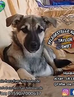 TAYLOR SWIFT - hat noch 5 Geschwister - Waakirchen