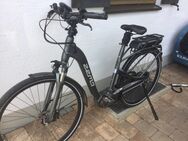 E-bike : Zemo 8T Comfort - Ottobeuren