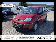 Fiat Panda, 1.0 NEU GSE Hybrid, Jahr 2024 - Marburg