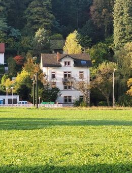 4-FamHs 1880 + Fabrik-Loft-Etage + 405qm WNF + 528qm GS + Gartenhs + Paradiesgarten + Teileigentum möglich - Freiburg (Breisgau)