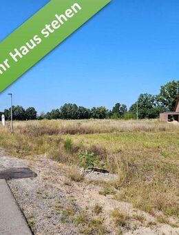 Inkl. Grundstück, ein Komforthaus für jedermann in Müden. - Müden (Aller)