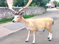 Dammhirsch Hirsch lebensgroß Dekofigur Gartendeko NEU - Hergisdorf