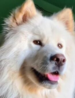 Über Tofu mags eher ruhiger - Kierspe