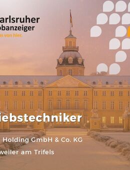 Elektroniker (m/w/d) in den Bereichen Automatisierung, Betriebstechnik oder Mess- & Regeltechnik - Annweiler (Trifels)