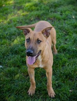 DJEGO - im Zuhause einfach wohlfühlen - Overath