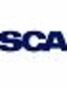 Lkw-Mechaniker (m/w/d)