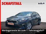 Kia Ceed Edition 7 Limited Carplay Tempomat Kamera Sitzheizung - Bergheim (Nordrhein-Westfalen)