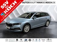 Skoda Octavia, 1.5 TSI Combi e-TEC Selection P, Jahr 2024 - Berlin