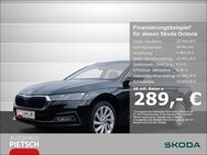 Skoda Octavia, 2.0 TDI Combi FirstEdition, Jahr 2020 - Melle