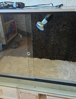 Glas Terrarium - Schöllnach