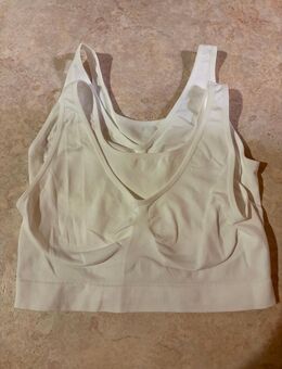 Bustier 2 XL - Ehrenberg (Rhön)