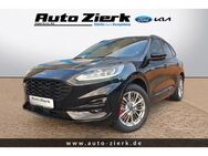 Ford Kuga Plug-In Hybrid ST-Line 2.5 Duratec,Sytling-Paket,SHZ,behWSS - Peine