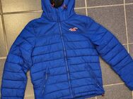 Blaue Hollister Daunenjacke Gr. L - Dinslaken