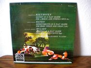 Music for Hunting Horn and Strings by Beethoven,Haydn,Mozart-Vinyl-LP,PAN,1966 - Linnich