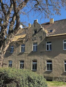 Historisches Gutshofanwesen mit Ausbaupotenzial in Schlossnähe - Bad Düben