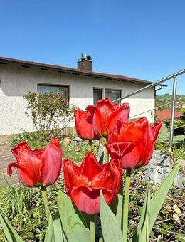 TRAUMHAFTE AUSSICHTSLAGE AM KIRCHBERG! Einfamilienhaus mit Einliegerbereich und viel Potenzial - Laaber