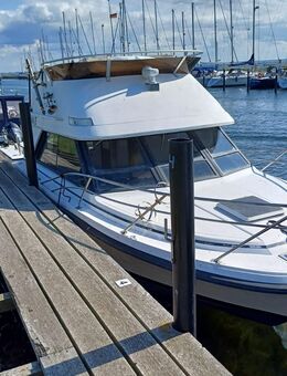 Motorschiff Phoenix SF Fly 10.50m x 3.20m 2x Cummings Diesel - Seevetal
