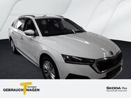 Skoda Octavia Combi 1.0 TSI DSG AMBITION COLUMBUS TEILLEDER PDC+ LED - Werdohl