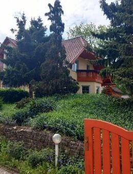 25 km von Erfurt - wunderschön angelegtes Grundstück und exklusives Wohnen vereint - Besondere Immobilie in Herbsleben - Herbsleben