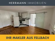 Schicke Zwei-Zimmer-Wohnung im Erdgeschoss mit stufenlosem Zugang in Schmiden - Fellbach