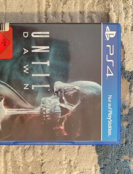 UNTIL DAWN - Essen