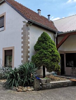 Wohnobjekt in Dingolshausen - Dingolshausen
