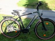 Kalkhoff Trekking-E-Bike für große Männer - Coppenbrügge