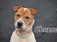 Werden die Träume von Shanna wahr??💙 - Essingen (Rheinland-Pfalz)