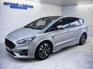 Ford S-Max 2.0 EcoBlue Aut. ST-LINE PANO+AHK+KLIMA - Freiburg (Breisgau)