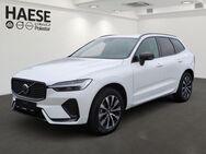 Volvo XC60, B4 Plus-Dark AWD Diesel EU6d Privacyglas el Harman&Kardon, Jahr 2023 - Wiesbaden Kastel