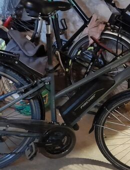 Fischer Ebike - Wettenberg
