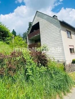 Preis auf Anfrage! ca.10.000 qm² Grundstück**Perfekt für Tierfreunde** - Schwarzenbach (Wald)