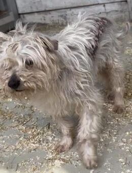 TOFU - BRAUCHT VIEL ZEIT - Nörten-Hardenberg