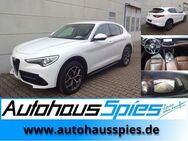 Alfa Romeo Stelvio 2.2 Diesel Q4 AT8 Super Alu19 TotwAss elHeckkl EU6dT - Heilbronn