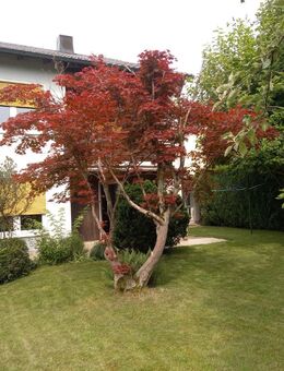 Doppelhaushälfte mit herrlichem Garten - Burgkirchen (Alz)