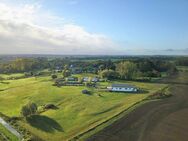 HORN IMMOBILIEN+ Rumpshagen bei Penzlin, Alpakafarm mit Wohnhaus, Stall, Tierbestand + 9 ha Land - Ankershagen