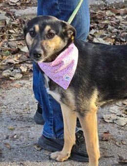 Zuwendungsbedürftig+sozial KIRA sucht♥️ - München