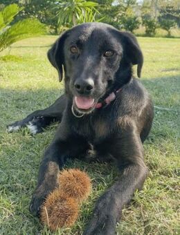 COLA 🩷🩷🩷 sozial und unbedarft - Herxheim (Landau)