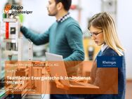 Teamleiter Energietechnik Innendienst (m/w/d) - Dobbin-Linstow
