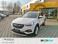 Opel Grandland, Dynamic, Jahr 2018 - Oschersleben (Bode)